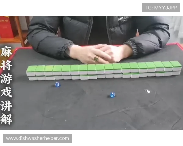 全面解析二八杠游戏的基本规则与多样玩法助你快速入门